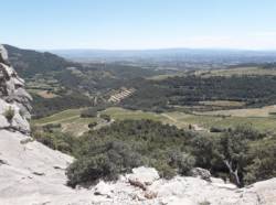 Les Dentelles de Montmirail (Chaîne du Clapis)
