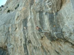 Faron (La Concession)