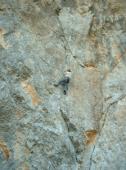 Faron (La Concession)