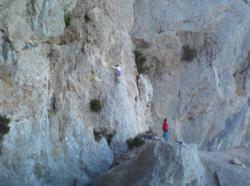 Faron (La Concession)