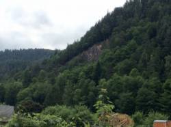 Hornberger Platte
