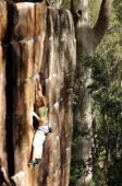 Nowra