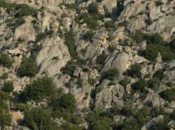 Saint Antoine
