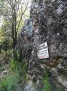 Zicavu