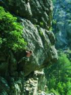 Vallée de la Restonica (L'Ortale)