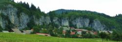 Bohinjska Bela