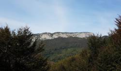 Pène Haute