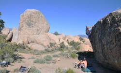 The Druid Stones