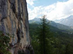 Le Grand Bois (Hautes-Alpes)