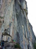 Le Grand Bois (Hautes-Alpes)