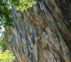 Pili