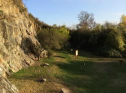 Pied des voies sympathique / Riverie